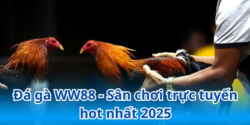 Đá gà WW88 - Sân chơi trực tuyến hot nhất 2025