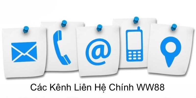 Các phương thức liên hệ WW88 đang hỗ trợ khách hàng